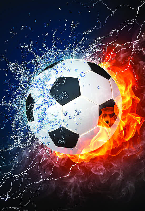 姿项目的金 姿项目的金