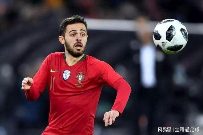 下捷克锋卫 下捷克锋卫